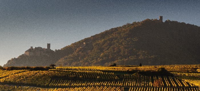 Montain in Champagne