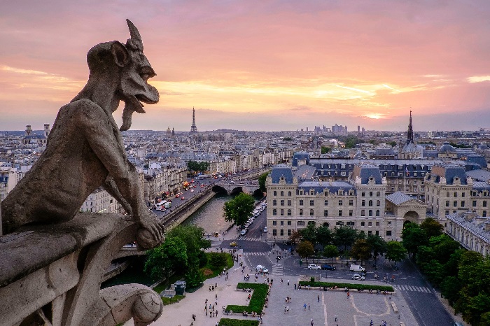 The notre dame cathedral in paris